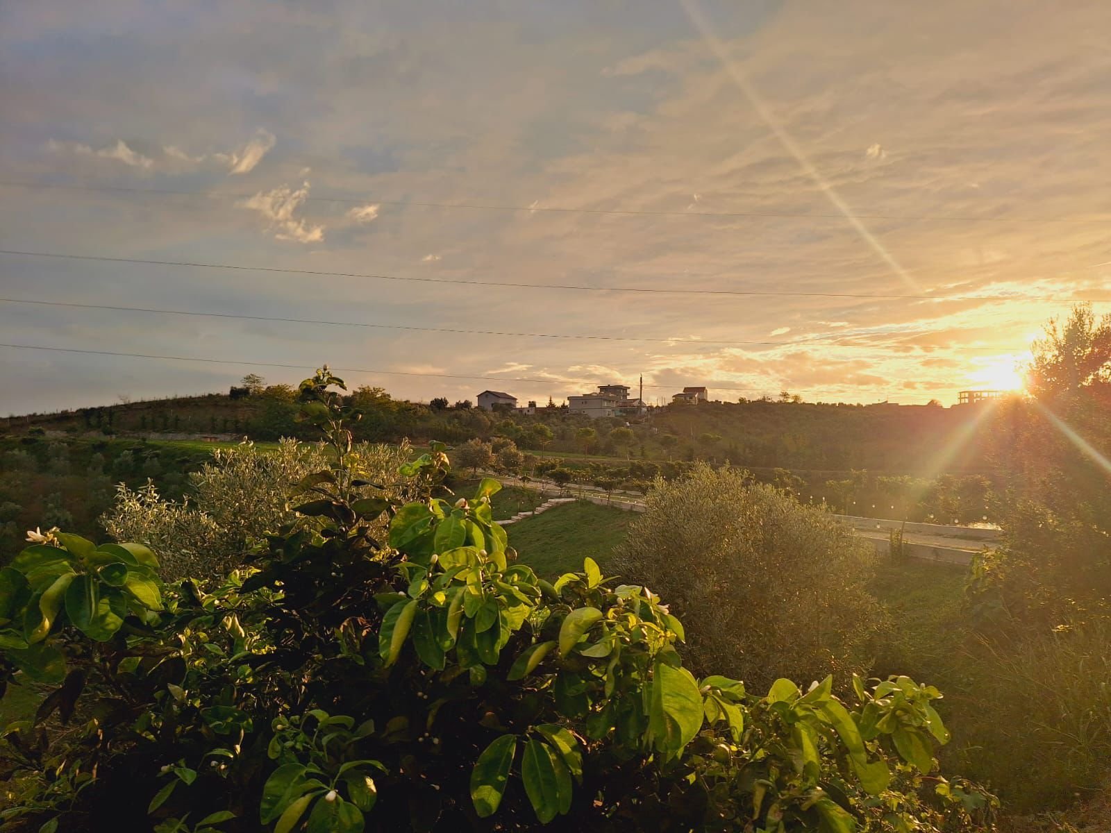 Barbecue at golden hour