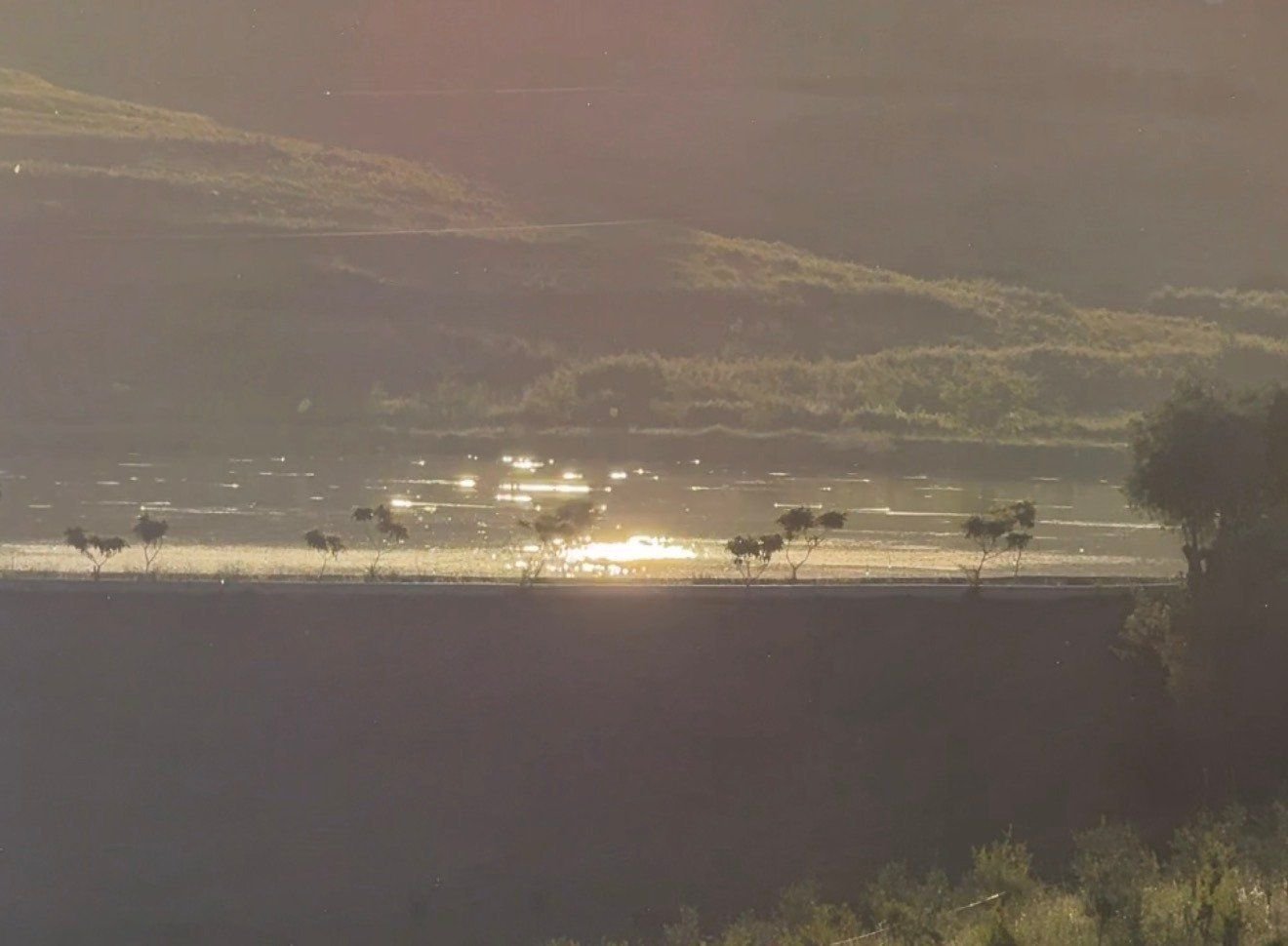 Mist on the lake