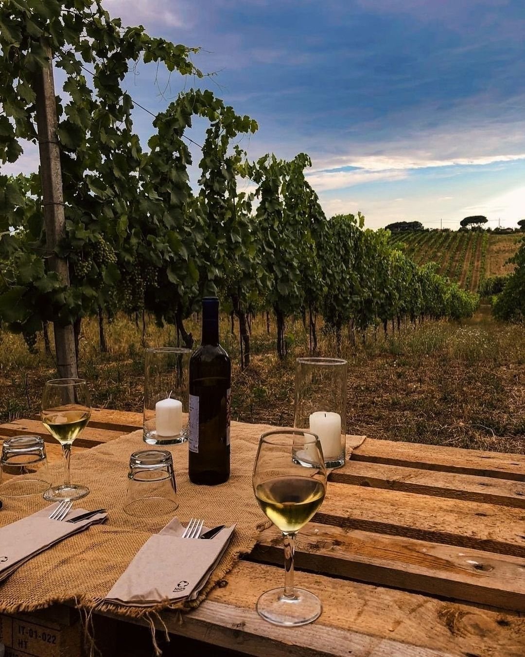 Wine glasses on a table in the vineyard at dusk